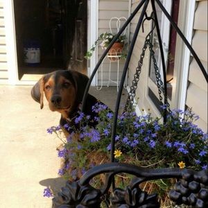 Meet your Posher, Katelyn